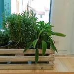 Peggy House 아파트 *