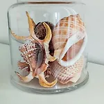 Peggy House 아파트