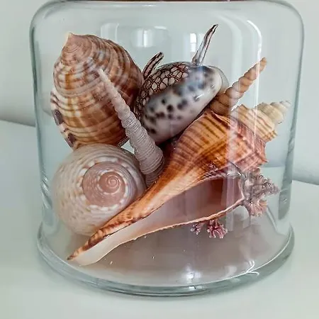 Peggy House La Spezia