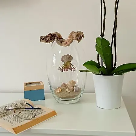 Peggy House Apartment