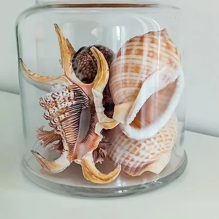 Peggy House Apartment